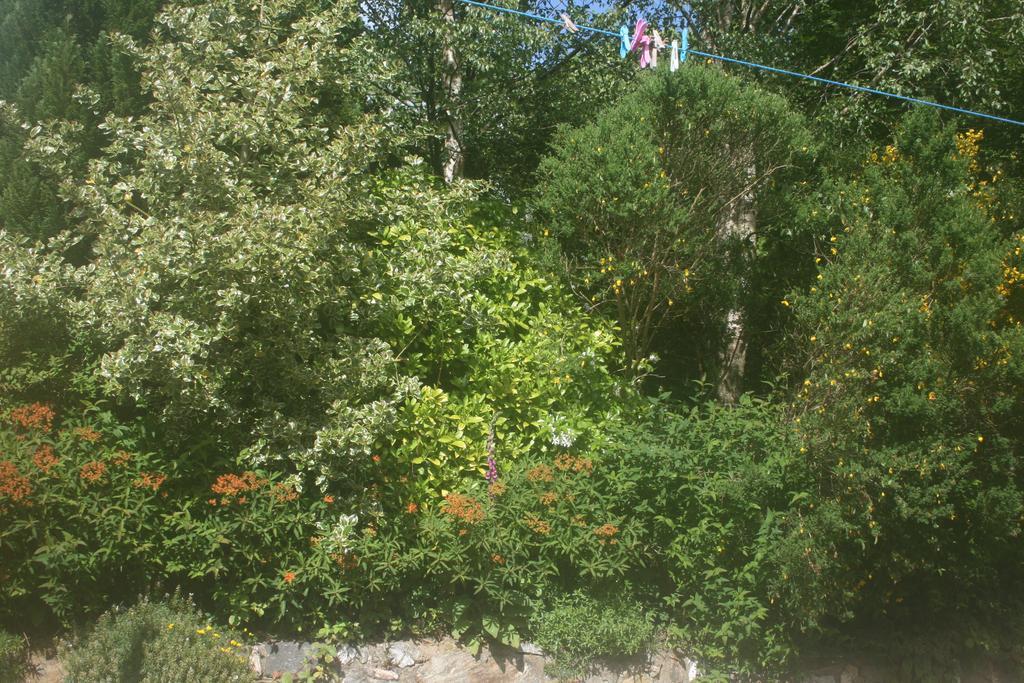 Laragh Mountain View Lodge Saggart Номер фото