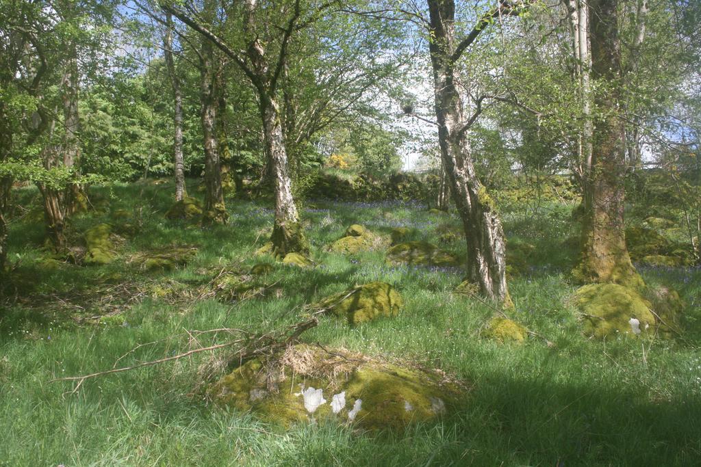 Laragh Mountain View Lodge Saggart Экстерьер фото